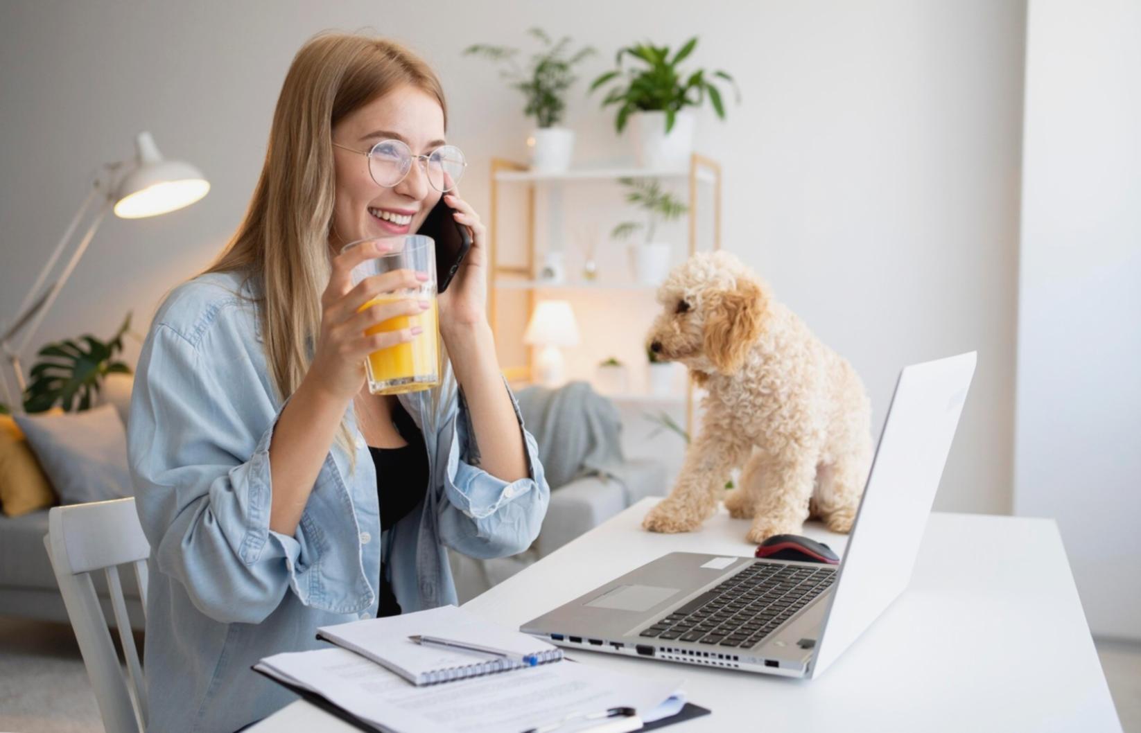 Analyse von Website-Traffic-Daten auf einem Laptop-Bildschirm